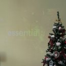 플로라 캠프 이미지