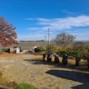 플렉스프라이빗풀빌라 이미지