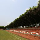 등나무운동장 이미지