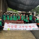 율치경로당 이미지