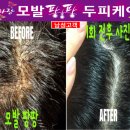 천연염색방 이미지