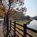 산양교 - 화천군 | 산양교