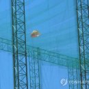 노암1리 행갈 이미지