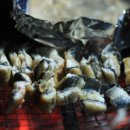 윤들펜션 이미지