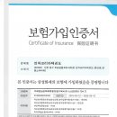 인하코리아태권도 이미지