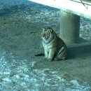 산수도인 별자리 운세 11월 24일 - 11월 30일 이미지