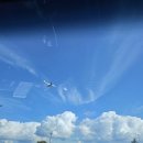 호미곶횟집 | *포항 여행* 동백이네 식당 / 레드빈 커피 / 호미곶 157 스테이 / N7카트 / 호미곶 포차거리 / 대박포차