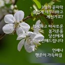 법무사장인