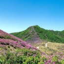 황매산등산로 이미지