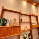 낭만장사꾼 용봉산호랭이 이미지