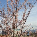 새동네1길 이미지