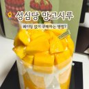 대전 성심당 케익부띠끄 망고시루 평일 웨이팅 없이 구매하는 방법