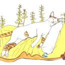 하늘사랑 이미지