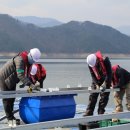 쿠키 태양광발전소 이미지