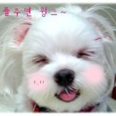 3204 이미지