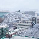 상명대학교