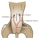 아람동물병원 이미지