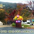 계룡산동학사스타 이미지