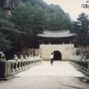 유림-8 이미지