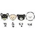 꼬숩당개 이미지