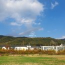 강서무도학원 이미지