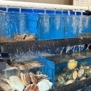 지구에서온아구해 이미지