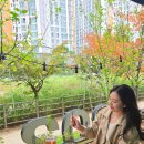 미장동 천변 | 군산 미장동카페 커피902 티라미수수플레 후기