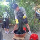 풀빛향기송정마을 이미지