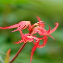 기역농장 이미지