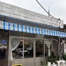 산호애견 | 관악구 주민의 내돈내산 신림 카페 추천 5 : 워킹카우 애견동반가능 카페 후기