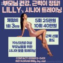 피트니스공 이미지