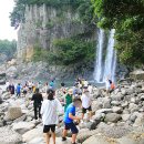 불로초목장 이미지