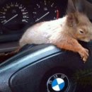 우정동물병원 이미지