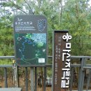 용마산 자락길 코스 이미지