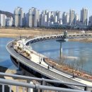 금강보행교 북측 공원 | 세종 산책 코스 금강보행교- 이응다리 세종 가볼만한곳 이응다리야경 세종 야경 보기