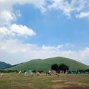 제주코기네 | 새별프렌즈 후기 - 두 딸아이와 떠난 제주 여름휴가 알파카 체험기