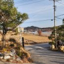 강동로7-7 이미지