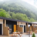 모더니컬 이미지