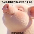 군산태양공인중개사사무소 | [공지] 군산 조촌동｜법원 후문 앞 3층 수익형 상가주택 매매13억 [갑부동산:142]