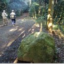 초밥천국 이미지