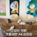 캣플헤븐 AK플라자금정점 | 금정 군포 금정역 놀거리 고양이카페 캣플헤븐 AK플라자 금정점