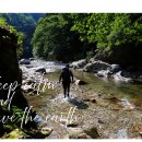 신갈로68번길 이미지