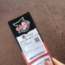 교육청 맞은편 BRT정류장9 | 울산 문수야구장 야구 경기 퓨처스리그 울산웨일즈 창단 첫 경기 직관 후기