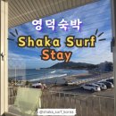 샤카서프 스테이 이미지