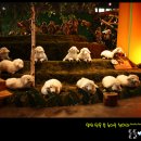 돈돌이농장 이미지