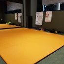 테라피트 이미지