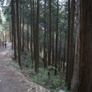 작은왕국민박 이미지