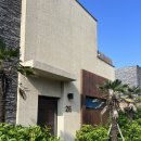 제주도 여행 성산일출봉 가까운 베아툼스파앤풀빌라 테라스 스파 A 숙박후기 및 수영장