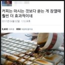 코쿤하우스 이미지