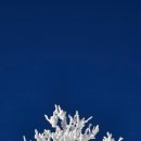 신세계항의원 이미지